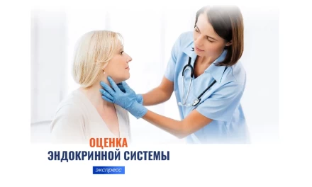 Экспресс-оценка эндокринной системы (8 анализов)